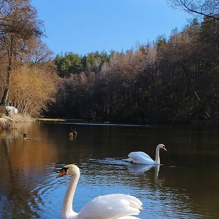 U Lusi Διαμέρισμα *