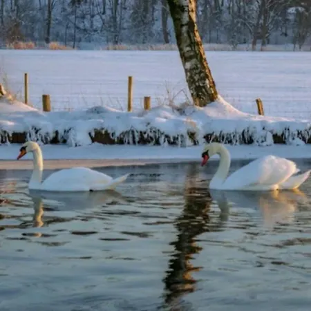 Διαμέρισμα U Lusi *