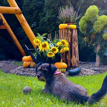 Апартаменты U Lusi *