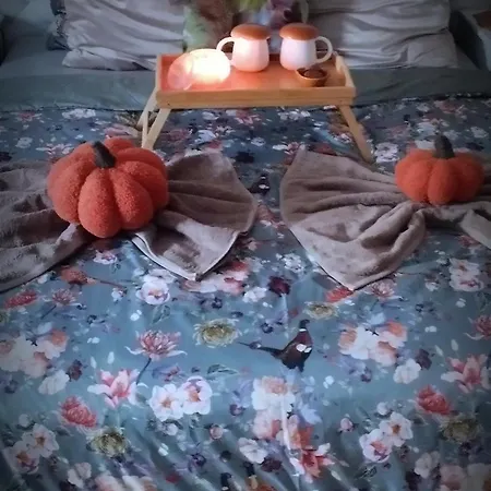 Διαμέρισμα U Lusi