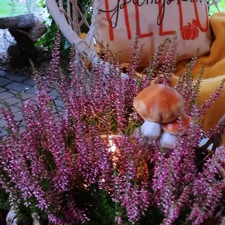 Διαμέρισμα U Lusi