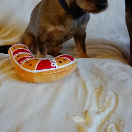 Апартаменты U Lusi