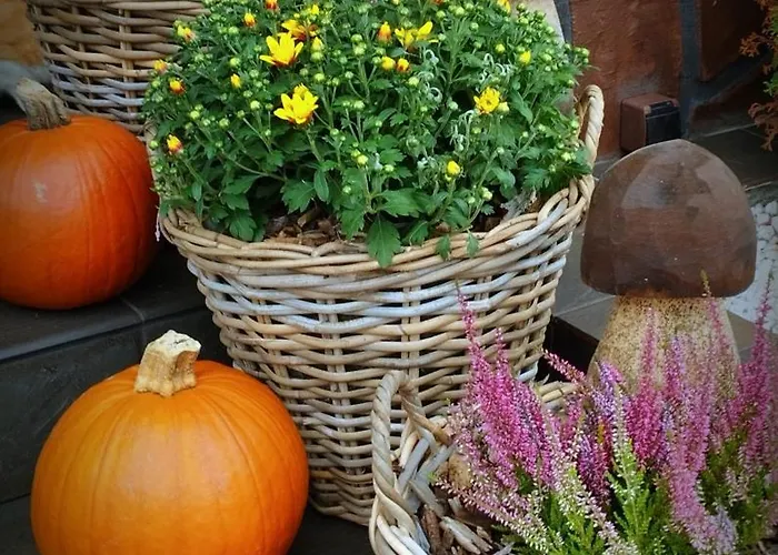 Apartamento U Lusi *