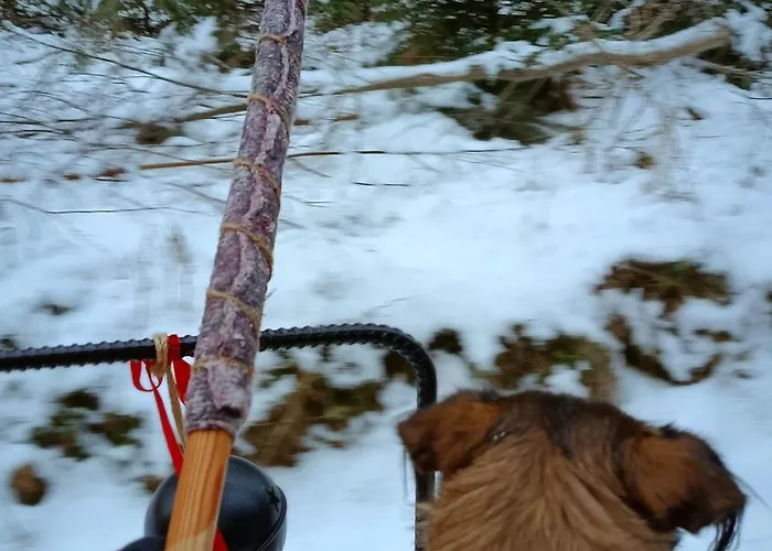 Apartamento U Lusi Rytel