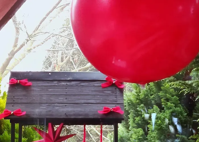 Apartamento U Lusi *